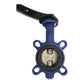 ARI Armaturen THEA DN 50-80 PN16 DN65 butterfly valve for industrial use 