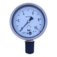 TECSIS P2324B075001 manometer 0-10bar 100mm G1/2B pressure gauge 