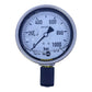 TECSIS P1778B088002 pressure gauge 0-1000bar 100mm G1/2B pressure gauge 