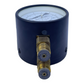 Afriso 0-100 mWS bar differential pressure gauge 