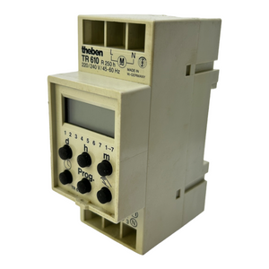 Theben TR610 timer for industrial use 50/60Hz 220V 240V 60Hz