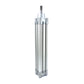 Festo DNC-32-160-PPV 163325 standard cylinder 