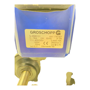 Groschopp WK1781401 gear motor 230V/400V/160W/50Hz 3-phase gear 1300Ncm 