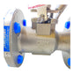 Jamesbury CF8M T5570 valve water fitting 