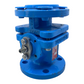 Flowserve AKH3 0003862 valve DN11/2 1501bs water fitting 