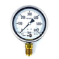 Tecsis NG/DIA P1778B087002 manometer 0-600bar 100mm G1/2B pressure gauge 